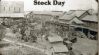 Stock Fair Day